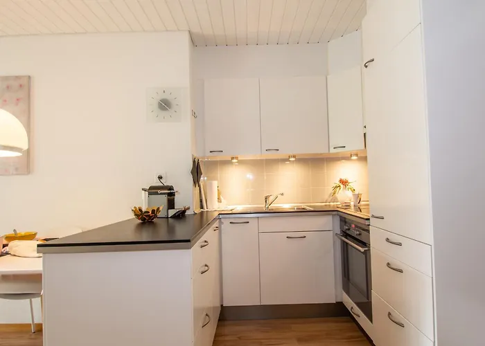 Apartmán Harmony Adelboden